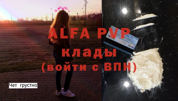 стаф Балахна