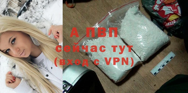 индика Протвино