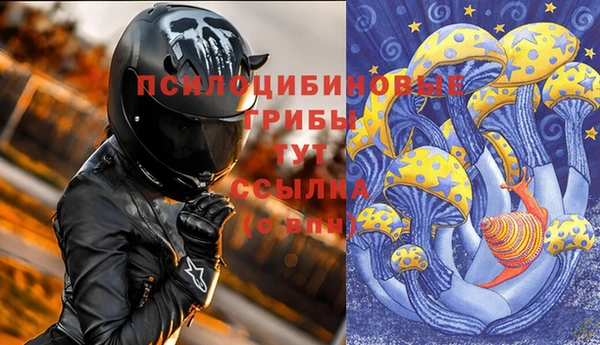 стаф Балахна