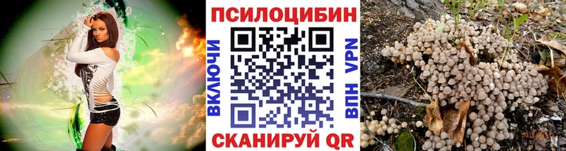 Галлюциногенные грибы Psilocybine cubensis  Котельниково 